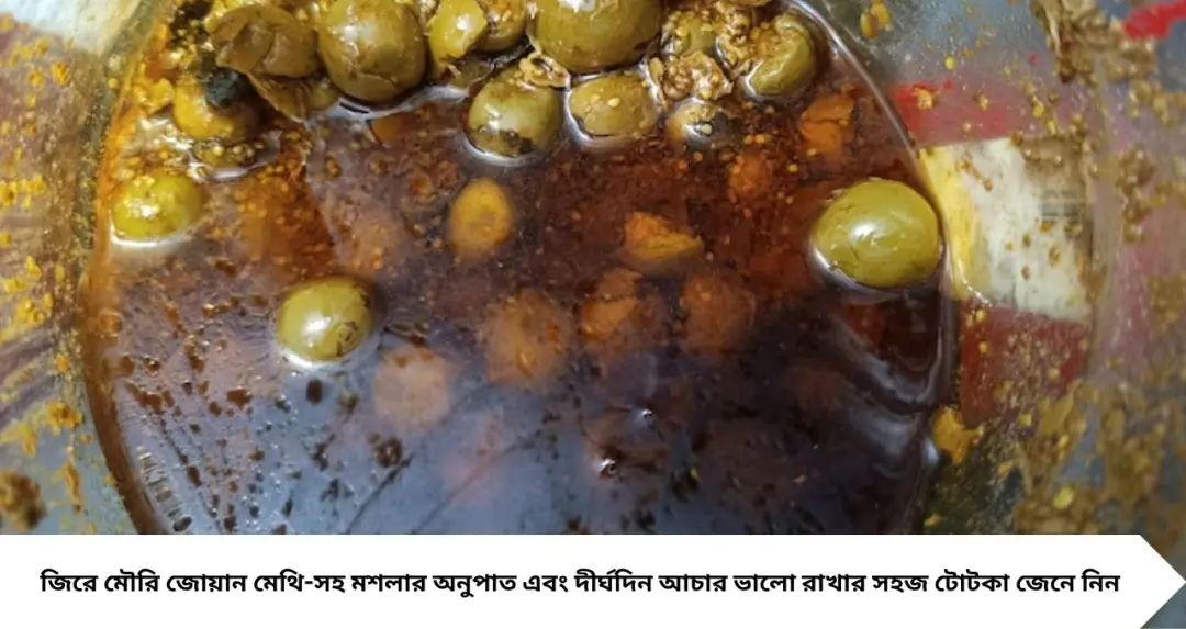 নিসোড়ের আচার: বর্ষায় খিচুড়ির সঙ্গে জমবে টক-ঝাল-মশলাদার আচার, এই মশলাতেই আসবে আসল স্বাদ! দীর্ঘদিন ভালো রাখার সহজ টোটকাও জেনে নিন