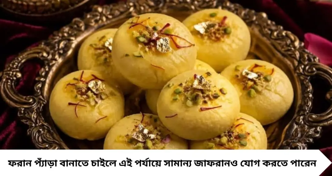 Janmashtami Peda Recipe: জন্মাষ্টমী-রাখিপূর্ণিমায় বাড়িতেই বানান মথুরার নরম-সুস্বাদু প্যাঁড়া! দুধ জ্বাল আর চিনি মেশানোর এই কৌশলেই লুকিয়ে আসল রহস্য
