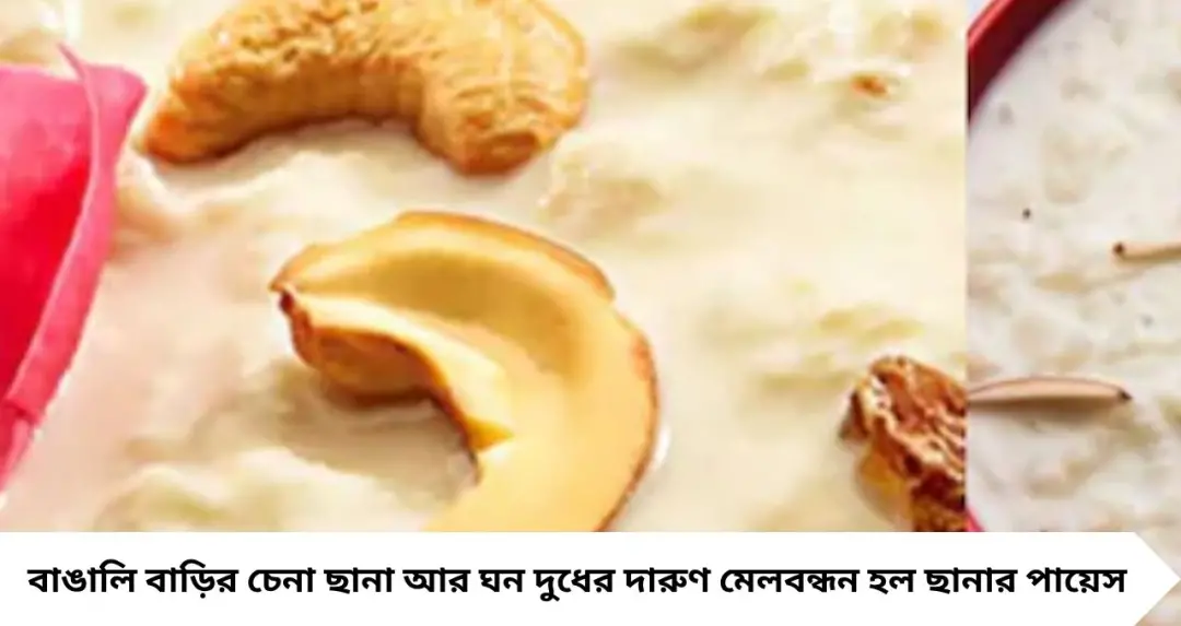 Chhanar Payesh Recipe: দুধ জ্বাল দেওয়ার এই কৌশলেই তৈরি হবে তুলতুলে ছানার পায়েস! রাখিপূর্ণিমায় মিষ্টিমুখ হোক একেবারে অন্যরকম
