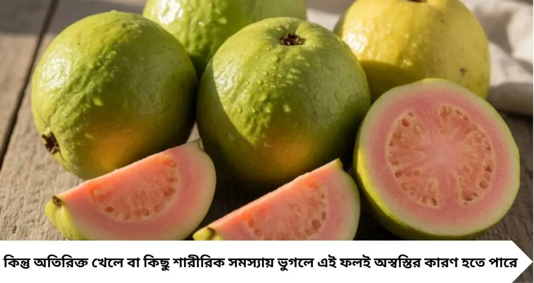 Guava Side Effects: পেয়ারা উপকারী, কিন্তু সবার জন্য নয়! এই ৫ ধরনের মানুষ বেশি খেলেই পড়তে পারেন বিপাকে

