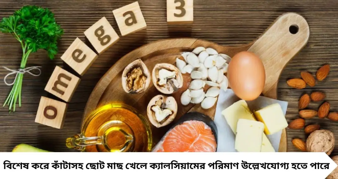 Omega 3 Rich Fish: রুই-কাতলা-ইলিশকে টেক্কা! এই মাছেই মেলে সবচেয়ে বেশি ওমেগা-৩, হার্ট ও মস্তিষ্কের জন্যও উপকারী