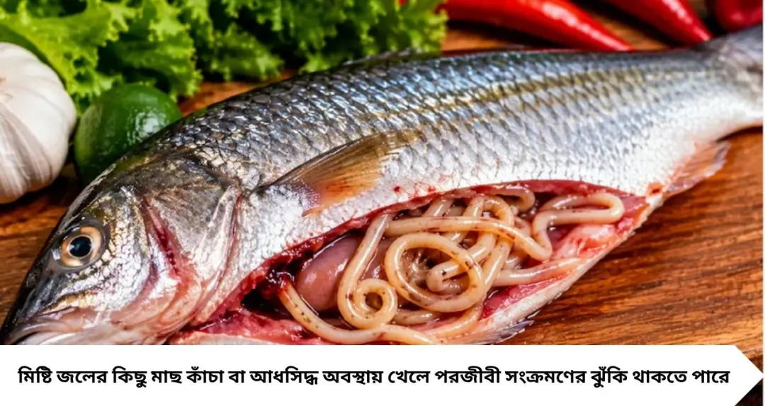 বর্ষায় মাছ খেলেই সাবধান! রুই-কাতলা থেকে পাবদা, কোন মাছে লুকিয়ে থাকতে পারে ফিতাকৃমি? ফ্রিজে রাখার সঠিক নিয়ম জানুন
