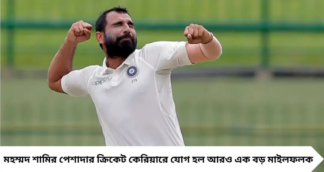 Mohammad Shami: জাতীয় দলের দরজা কি বন্ধ? নির্বাচকদের উপেক্ষার মাঝেই শামির বিরাট কীর্তি, ৯০০ উইকেটের ক্লাবে বাংলার পেসার
