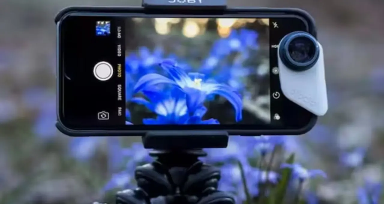 Smartphone Photography Tips: দামি DSLR নয়, স্মার্টফোনেই তুলুন প্রফেশনাল ছবি! এই ৭টি সহজ ট্রিক বদলে দেবে ফটোগ্রাফির স্টাইল
