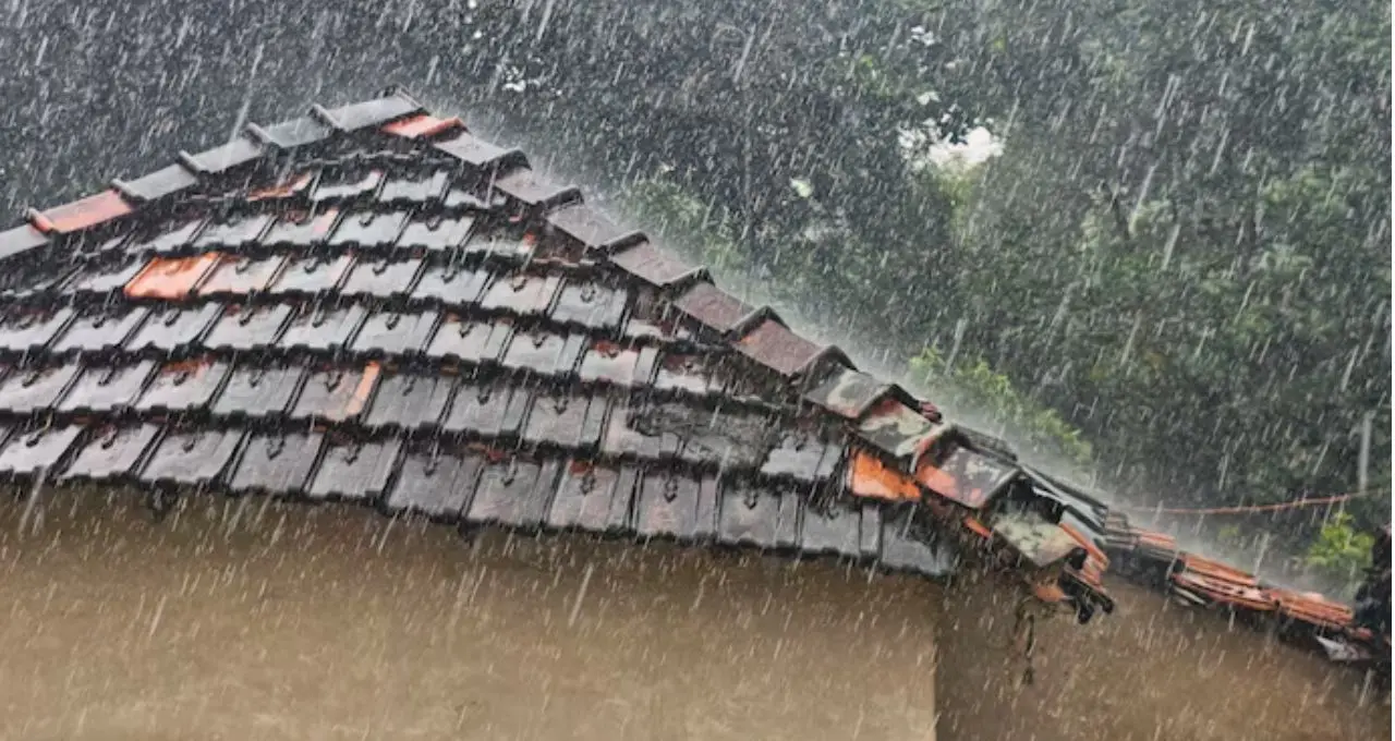 IMD Kalker Weather Alert: ভ্যাপসা গরমের পর স্বস্তির বৃষ্টি! আগামী ২৪ ঘণ্টায় কলকাতাসহ কোন কোন জেলায় ঝড়-বৃষ্টি, জেনে নিন
