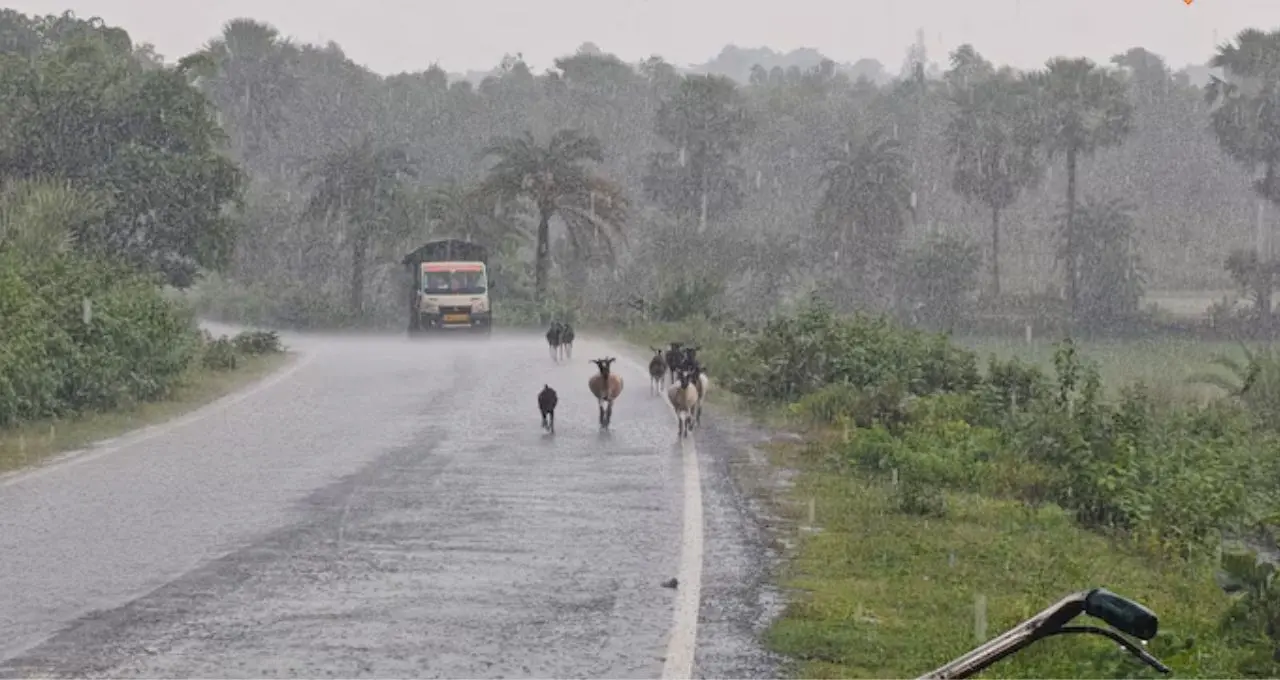 IMD Kalker Weather Alert: ভ্যাপসা গরমের পর স্বস্তির বৃষ্টি! আগামী ২৪ ঘণ্টায় কলকাতাসহ কোন কোন জেলায় ঝড়-বৃষ্টি, জেনে নিন
