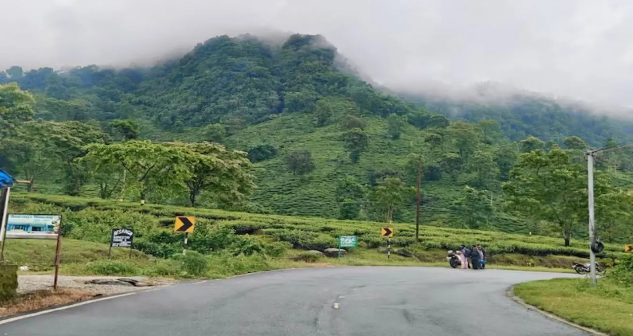 North Bengal Weather Forecast: দার্জিলিং থেকে ডুয়ার্স, আজও মেঘ-বৃষ্টির দাপট! কালিম্পংয়ে ধসের আশঙ্কা, জেনে নিন জেলাভিত্তিক আপডেট

