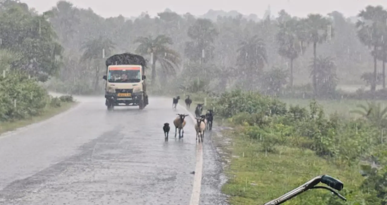 West Bengal Weather Forecast: বঙ্গোপসাগরে নিম্নচাপের প্রভাব, ঝড়-বৃষ্টিতে ভিজবে বাংলা! ঝাড়গ্রাম থেকে বর্ধমান, কোন জেলায় কেমন আবহাওয়া?
