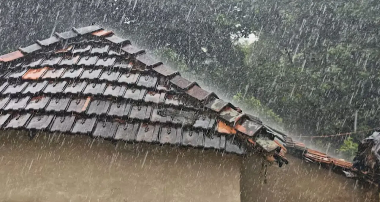 West Bengal Weather Forecast: বঙ্গোপসাগরে নিম্নচাপের প্রভাব, ঝড়-বৃষ্টিতে ভিজবে বাংলা! ঝাড়গ্রাম থেকে বর্ধমান, কোন জেলায় কেমন আবহাওয়া?
