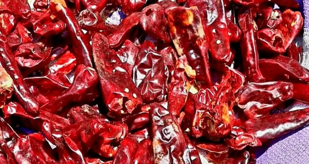 Homemade Kashmiri Chilli Powder: বাজারের গুঁড়ো নয়, ঘরেই বানান খাঁটি কাশ্মীরি লঙ্কার গুঁড়ো! রং হবে ঝকঝকে, স্বাদও থাকবে দুর্দান্ত
