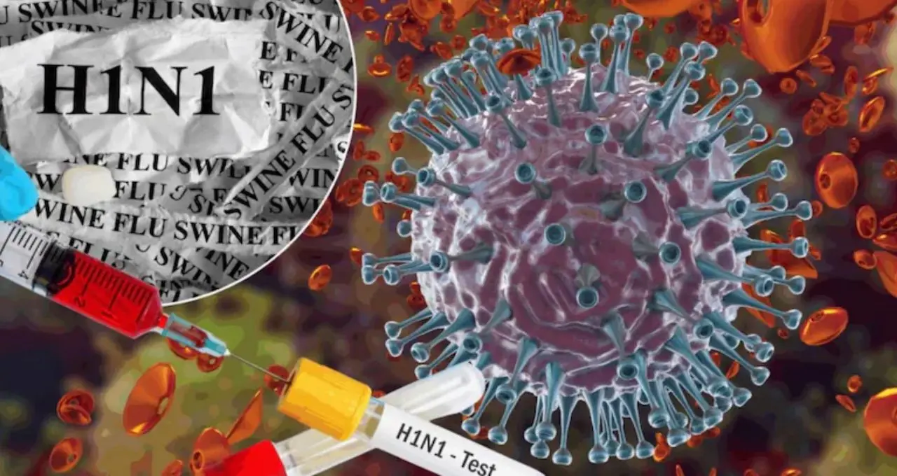 সোয়াইন ফ্লু আতঙ্ক: সাধারণ সর্দি-কাশি নাকি H1N1? কোন লক্ষণে সতর্ক হবেন, জানুন চিকিৎসকদের পরামর্শ
