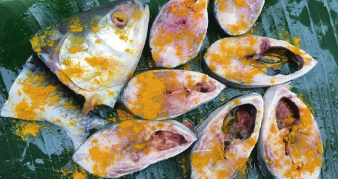 Hilsa Storage Tips: বর্ষায় কিনে শীতেও জমিয়ে খান ইলিশ! ১, ৩ বা ৬ মাস সংরক্ষণ করতে মানুন এই সহজ নিয়ম
