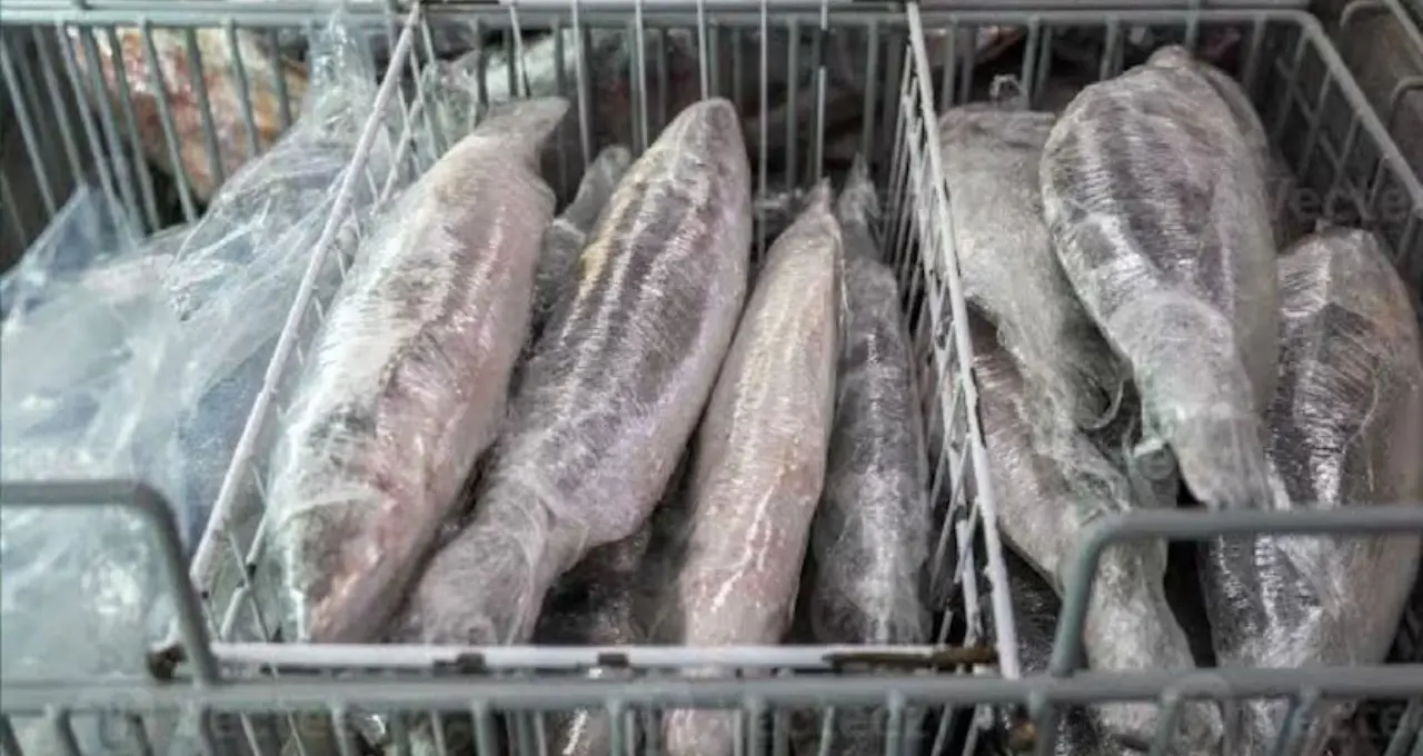 Hilsa Storage Tips: বর্ষায় কিনে শীতেও জমিয়ে খান ইলিশ! ১, ৩ বা ৬ মাস সংরক্ষণ করতে মানুন এই সহজ নিয়ম
