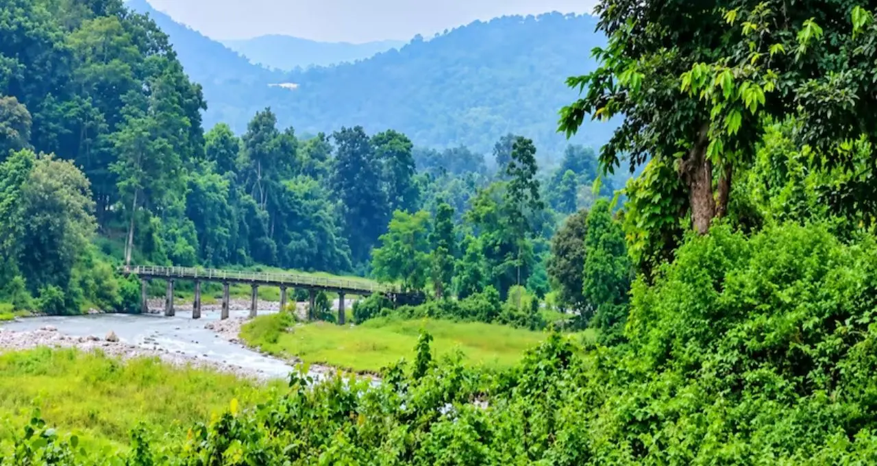ডুয়ার্সের ভিড়ভাট্টা ভুলে একদিন হারিয়ে যান এই অচেনা গ্রামে! চা-বাগান, জঙ্গল, পাহাড়ি নদী আর হোমস্টের মোমো-থুকপায় জমে যাবে ছুটি
