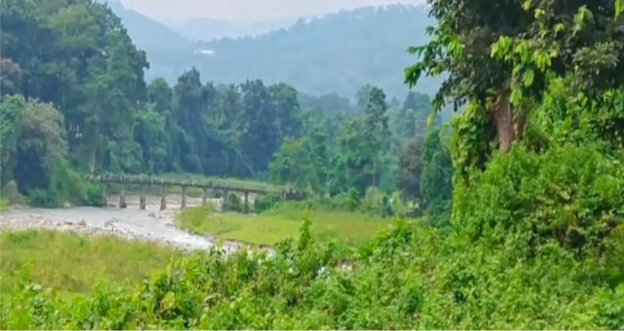 ডুয়ার্সের ভিড়ভাট্টা ভুলে একদিন হারিয়ে যান এই অচেনা গ্রামে! চা-বাগান, জঙ্গল, পাহাড়ি নদী আর হোমস্টের মোমো-থুকপায় জমে যাবে ছুটি

