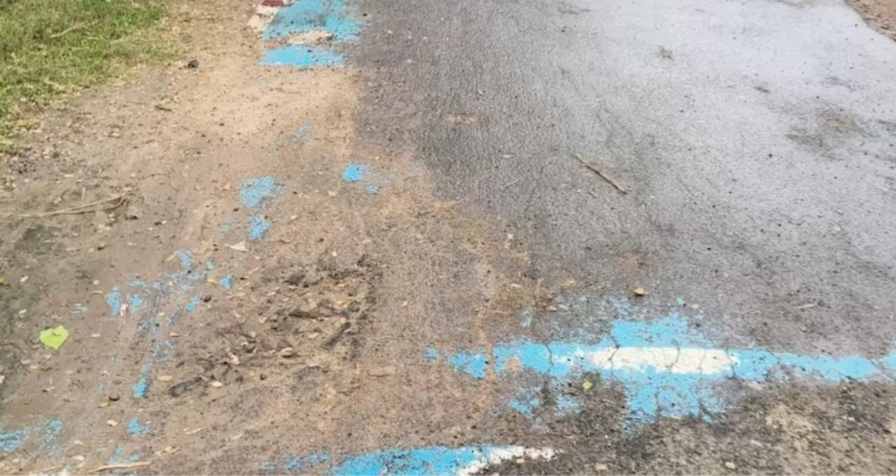 Plastic Waste Road: ২৩ লক্ষের ‘নীল রাস্তা’ এখন বিবর্ণ! কয়েক বছরেই উঠছে পিচ, প্রশ্নে ৩ গুণ বেশি টেকসই হওয়ার দাবি
