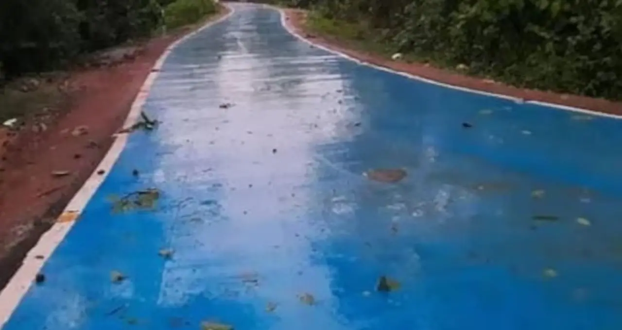 Plastic Waste Road: ২৩ লক্ষের ‘নীল রাস্তা’ এখন বিবর্ণ! কয়েক বছরেই উঠছে পিচ, প্রশ্নে ৩ গুণ বেশি টেকসই হওয়ার দাবি
