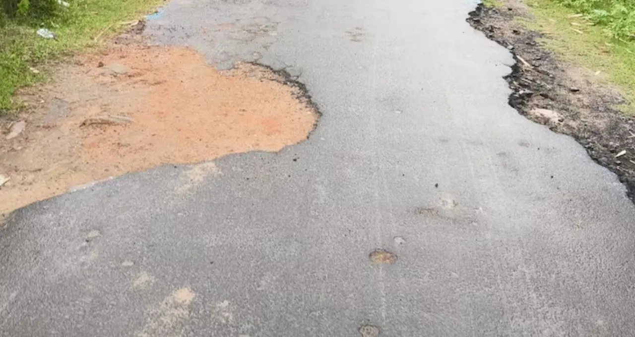 Plastic Waste Road: ২৩ লক্ষের ‘নীল রাস্তা’ এখন বিবর্ণ! কয়েক বছরেই উঠছে পিচ, প্রশ্নে ৩ গুণ বেশি টেকসই হওয়ার দাবি
