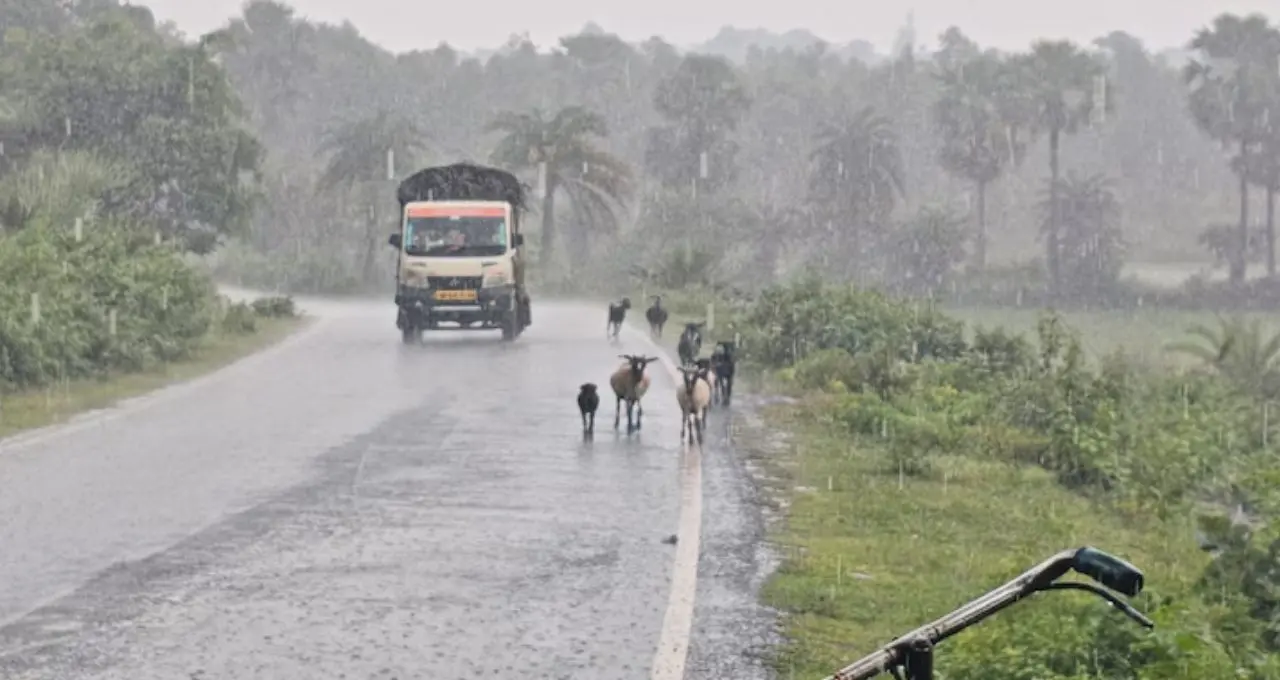IMD Weather Update: বঙ্গোপসাগরে ফের নিম্নচাপের চোখরাঙানি! আজ থেকেই বদলাবে আবহাওয়া, হুগলি থেকে পাহাড়—কোথায় কত বৃষ্টি?
