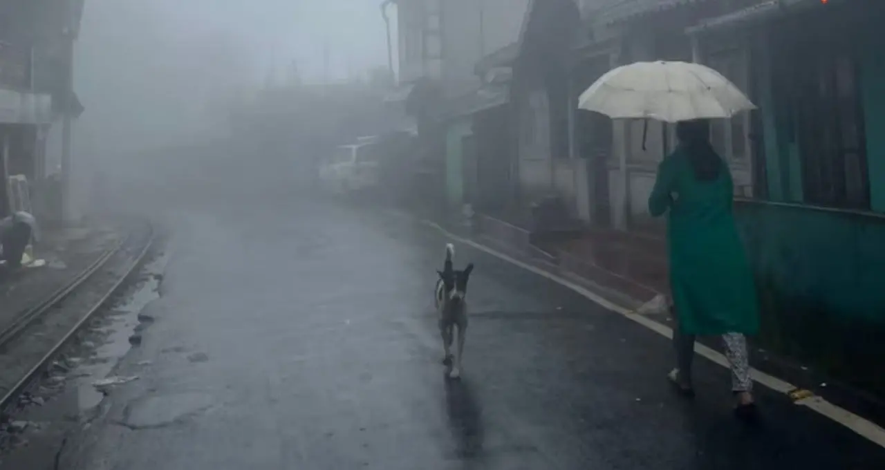 IMD Weather Update: বঙ্গোপসাগরে ফের নিম্নচাপের চোখরাঙানি! আজ থেকেই বদলাবে আবহাওয়া, হুগলি থেকে পাহাড়—কোথায় কত বৃষ্টি?
