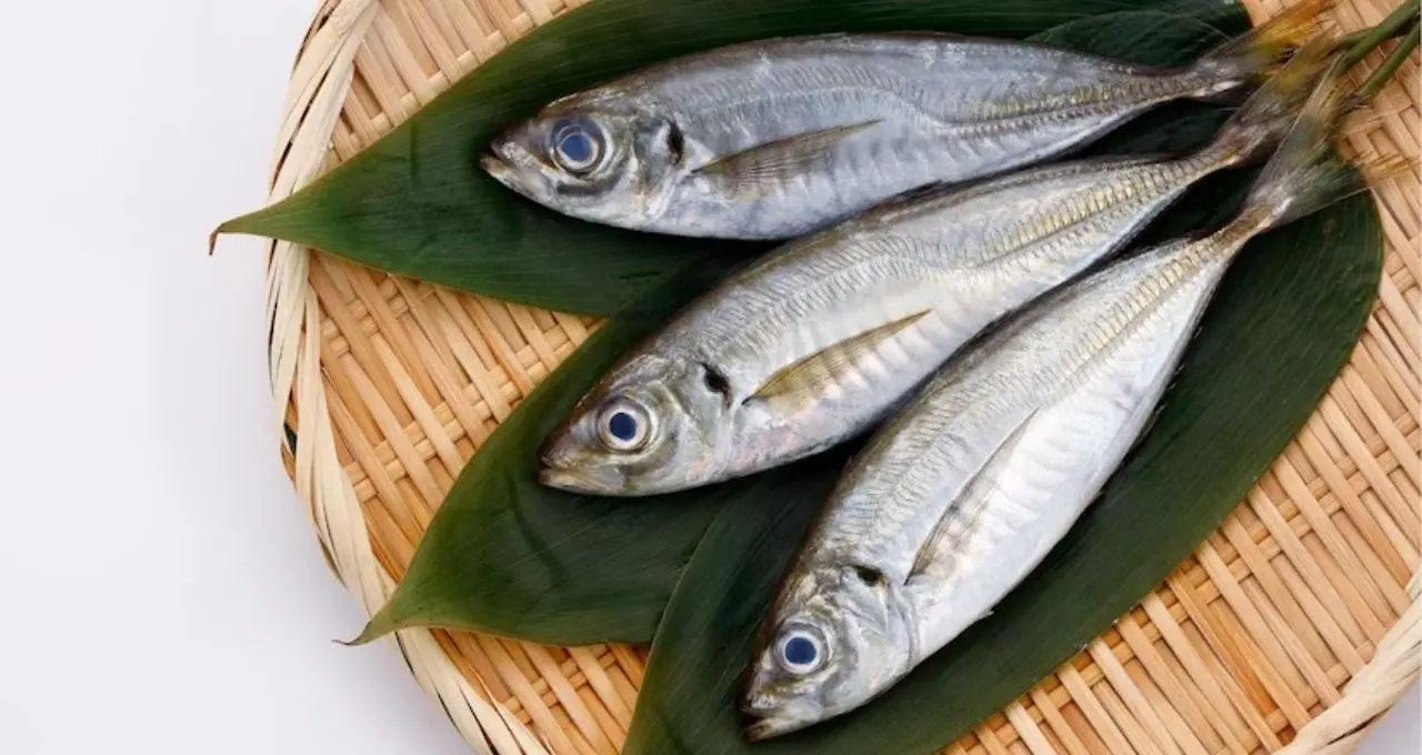 Omega 3 Rich Fish: রুই-কাতলা-ইলিশকে টেক্কা! এই মাছেই মেলে সবচেয়ে বেশি ওমেগা-৩, হার্ট ও মস্তিষ্কের জন্যও উপকারী
