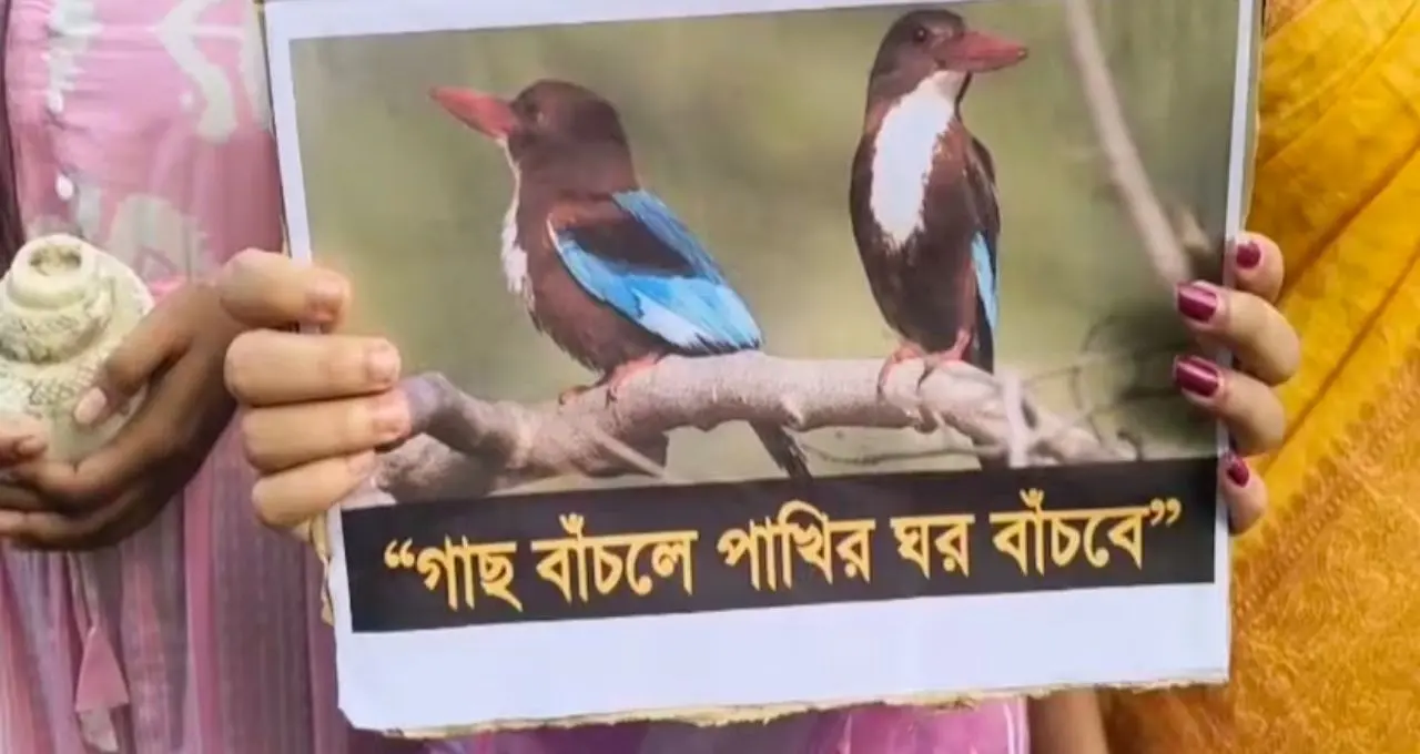 সুন্দরবন বাঁচাতে খুদেদের লড়াই! ম্যানগ্রোভ কাটা বন্ধের বার্তা হিঙ্গলগঞ্জে, প্রকৃতি রক্ষার শপথ পড়ুয়াদের