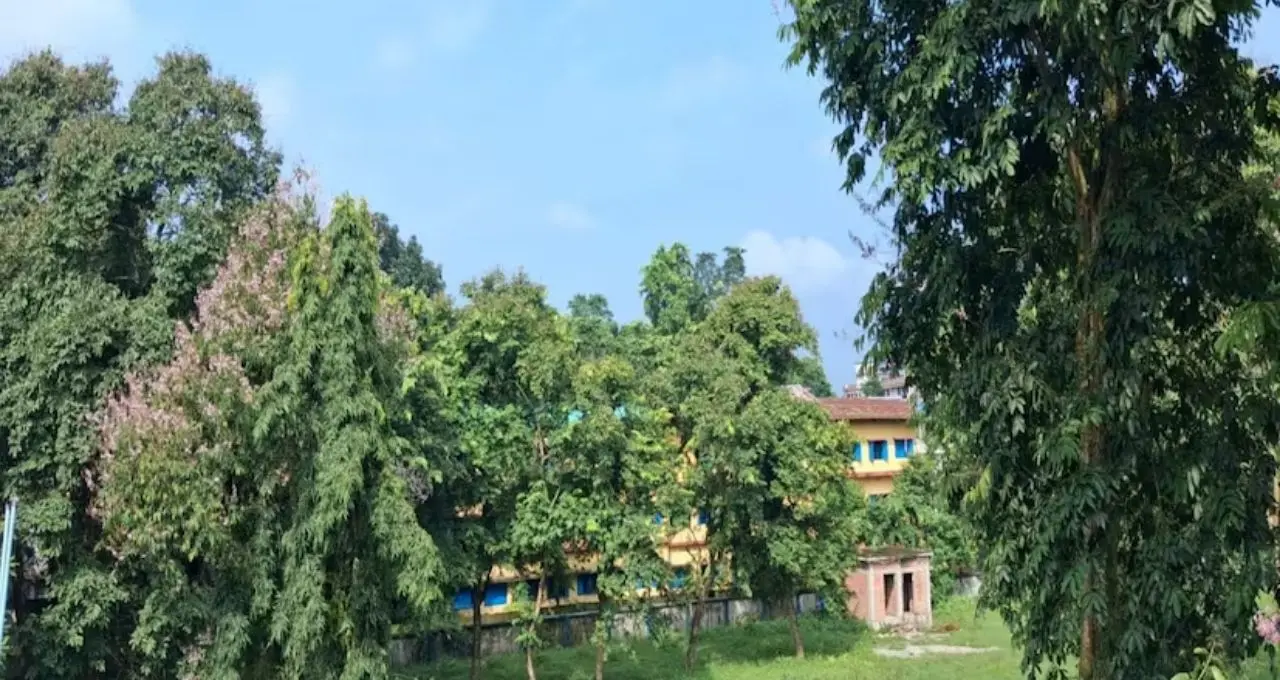 ৭২ ঘণ্টায় বদলে যাবে উত্তরবঙ্গের আবহাওয়া! দার্জিলিং থেকে ডুয়ার্সে বৃষ্টির দাপট, কোথায় কেমন থাকবে পরিস্থিতি?
