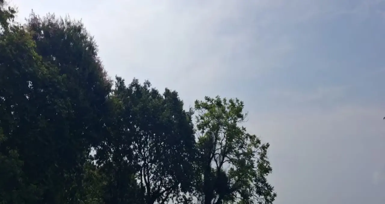 ৭২ ঘণ্টায় বদলে যাবে উত্তরবঙ্গের আবহাওয়া! দার্জিলিং থেকে ডুয়ার্সে বৃষ্টির দাপট, কোথায় কেমন থাকবে পরিস্থিতি?
