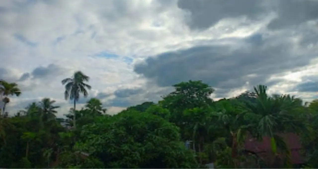 ৭২ ঘণ্টায় বদলে যাবে উত্তরবঙ্গের আবহাওয়া! দার্জিলিং থেকে ডুয়ার্সে বৃষ্টির দাপট, কোথায় কেমন থাকবে পরিস্থিতি?
