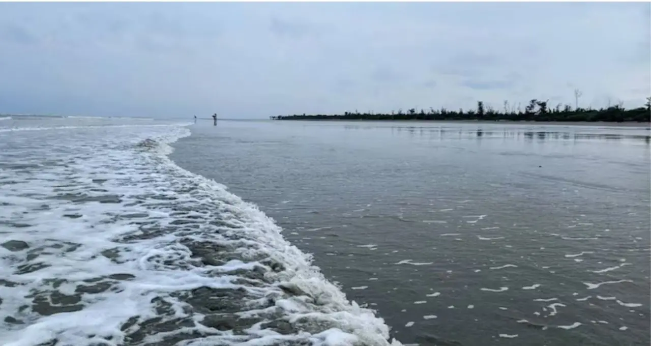 ভরা ইলিশের মরশুমেও সমুদ্রে বাধা! বারবার ফিরছে ট্রলার, অল্প মাছেই ঘাটে মৎস্যজীবীরা—কেন এমন পরিস্থিতি?
