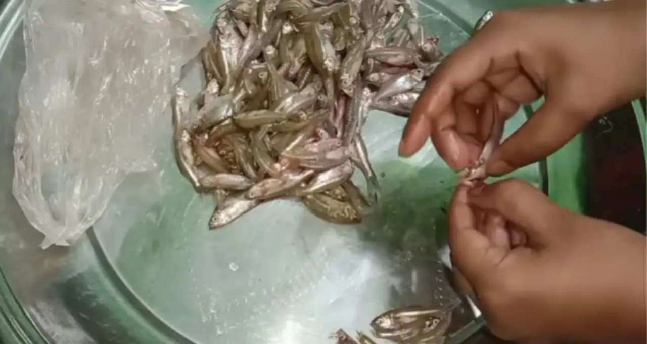 মৌরলা মাছ কাটতে গেলেই ভেঙে যাচ্ছে? বঁটি-ছুরি ছাড়াই ঝুড়ি ভরা মাছ পরিষ্কার হবে নিমেষে, রইল সহজ কৌশল
