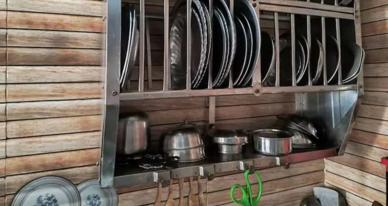 Dish Rack Cleaning Tips: তেলচিটে-কালো বাসন রাখার স্ট্যান্ড ঝকঝকে হবে নিমেষে! রান্নাঘরের ২ জিনিসেই মিলবে দারুণ ফল
