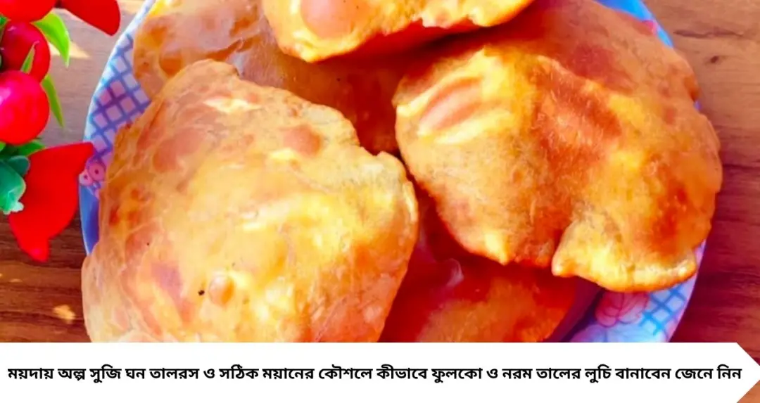 তালের লুচি ফুলবে না চুপসে যাবে? ময়দায় এই ১ উপকরণ মেশালেই হবে তুলতুলে নরম, জন্মাষ্টমীতে রেসিপি জমবে
