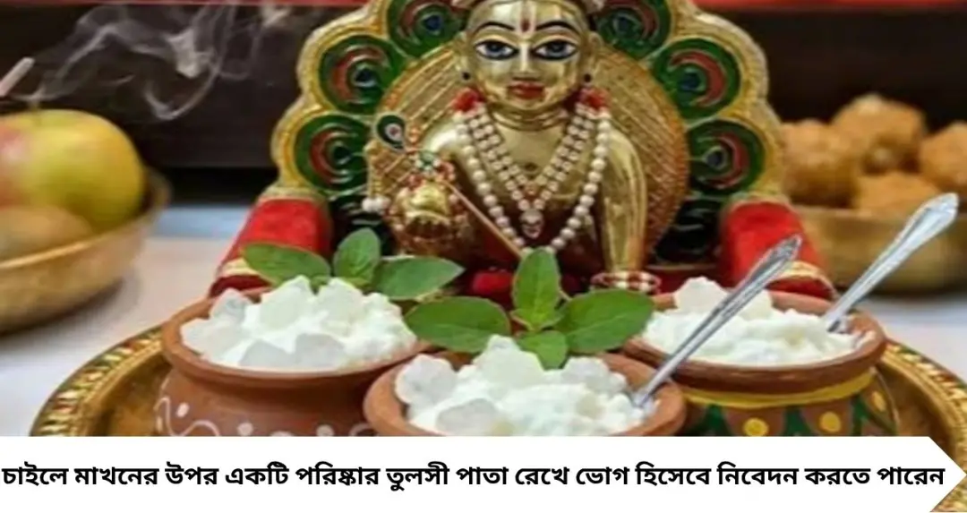 Janmashtami Special Bhog Recipes: মাখন-মিছরি থেকে মোহনভোগ, জন্মাষ্টমীতে গোপালকে দিন এই ৫ ভোগ! সহজেই বানান বাড়িতে
