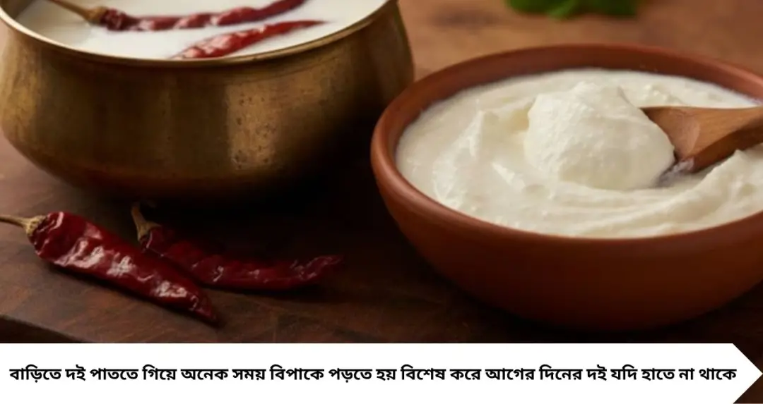 Setting Curd with Red Chillies: টক দই নেই? ২টি শুকনো লঙ্কাতেই জমবে ঘন দই, জানুন সঠিক পদ্ধতি
