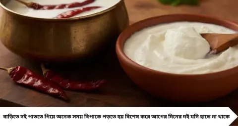 Setting Curd with Red Chillies: টক দই নেই? ২টি শুকনো লঙ্কাতেই জমবে ঘন দই, জানুন সঠিক পদ্ধতি
