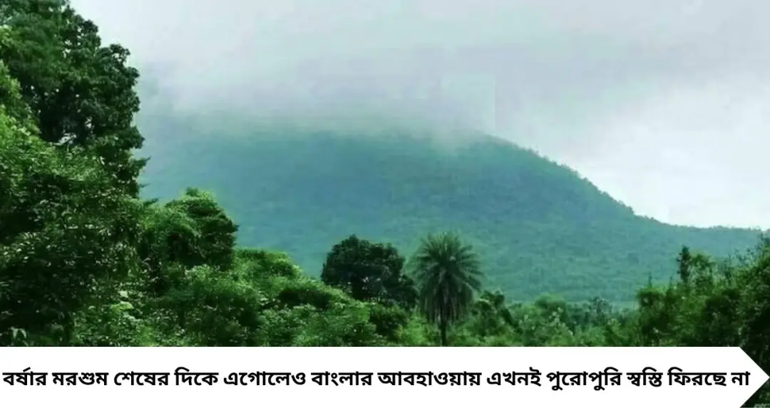 IMD Latest Weather Update: বুধবার দক্ষিণবঙ্গের ৫ জেলায় ভারী বৃষ্টি, শুক্রবার ফের নিম্নচাপের চোখরাঙানি
