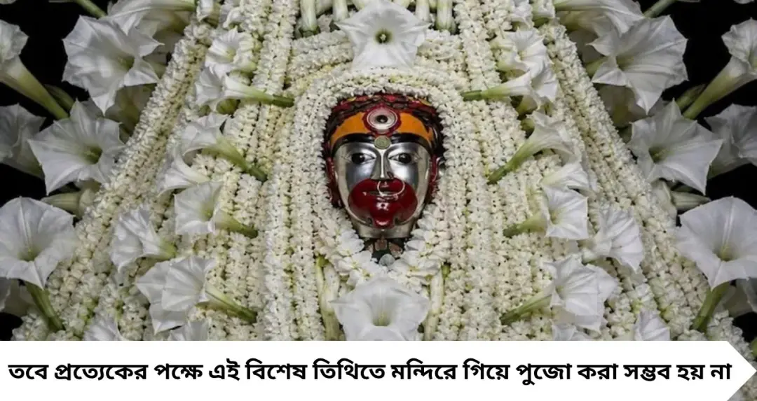 Kaushiki Amavasya Money Tips: তারাপীঠে যেতে পারছেন না? বাড়িতেই এভাবে করুন কৌশিকী অমাবস্যার আরাধনা, জানুন পুজোর নিয়ম
