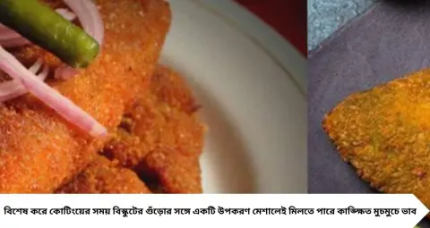 Kolkata Style Fish Fry: রেস্তোরাঁর মতো মুচমুচে ফিশ ফ্রাই বানানোর গোপন কৌশল, বিস্কুটের গুঁড়োয় মেশান এই সাদা উপকরণ
