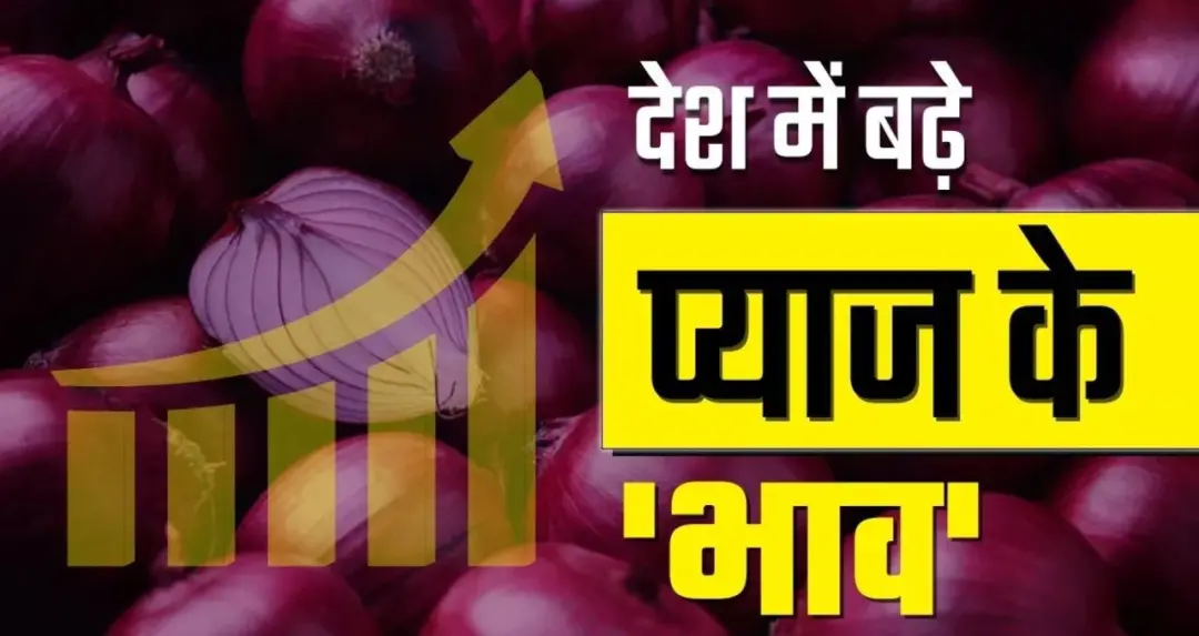 Onion Price Hike: प्याज की कीमतों में भारी उछाल, महाराष्ट्र में 70 रुपये किलो तक पहुंचा भाव