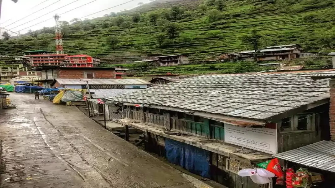 मंडी में सांप के डसने से मासूम भाई-बहन की मौत: पेट दर्द समझकर घर पर ही किया उपचार, सांप दिखा तो अस्पताल लेकर भागे