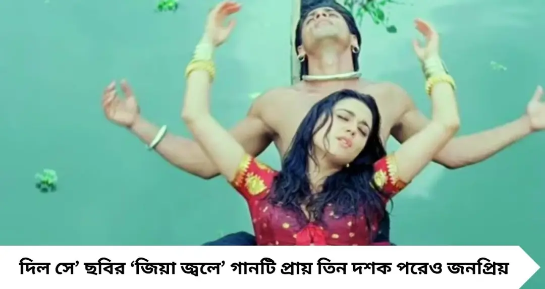 Bollywood Song: বাসর রাতের আবেগ ফুটে উঠেছিল এই গানে! ৩০ বছর পরেও শাহরুখ-প্রীতির ‘জিয়া জ্বলে’ কেন এত জনপ্রিয় জানেন?
