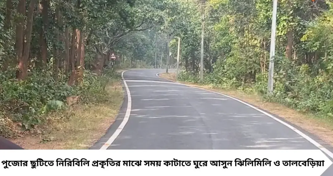 Bankura Tourism: পুজোয় ভিড় এড়িয়ে জঙ্গল-জলাধারের মাঝে নিরিবিলি ছুটি! ঝিলিমিলি-তালবেড়িয়ায় কী দেখবেন, কীভাবে যাবেন, কোথায় থাকবেন?