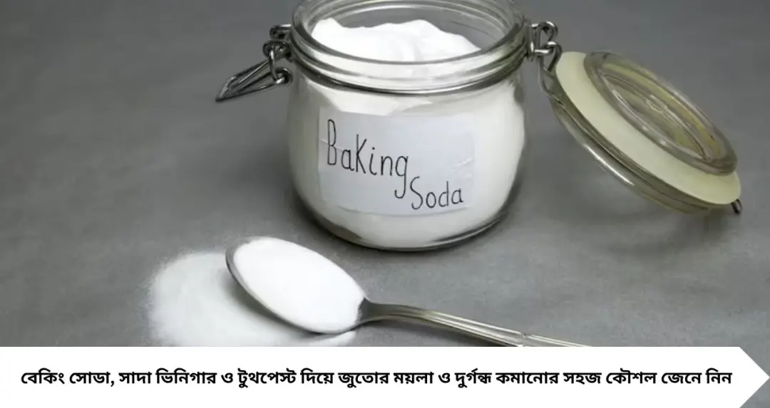 বর্ষায় জুতো কাচলেই বিপদ! শুকোতে চায় না? জল ছাড়াই জুতো ঝকঝকে করার ৪ সহজ উপায় জেনে নিন
