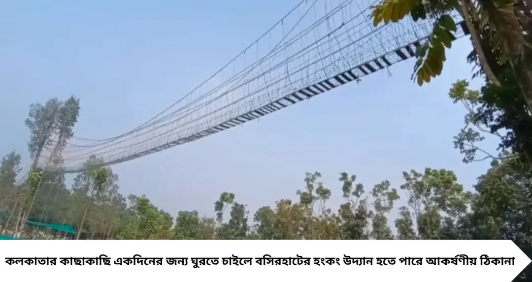 Day Out Destination: গাছের মগডালে ঝুলন্ত সেতু! কলকাতার কাছেই সবুজে ঘেরা বসিরহাটের ‘হংকং উদ্যান’, জানুন যাওয়ার পথ
