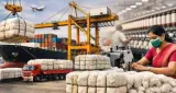 Cotton Import Duty: कपड़े महंगे होने का खतरा? ड्यूटी फ्री कपास आयात बढ़ाने की मांग