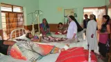 गुमला में 7 माह में सर्पदंश की 181 घटनाएं, जुलाई में सबसे ज्यादा मामले; ग्रामीण इलाकों में बढ़ा खतरा