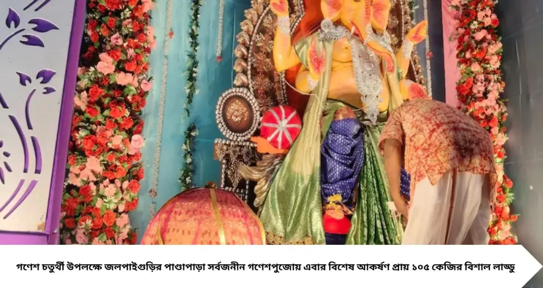 Ganesh Chaturthi: ৬০০ কিমি পথ পেরিয়ে জলপাইগুড়িতে ১০৫ কেজির লাড্ডু! গণেশের চরণে মহাভোগ, পাণ্ডাপাড়ায় উৎসবের আমেজ
