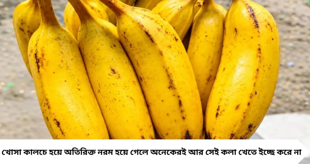 Ripe Banana Recipes: পাকা কলা পচে যাচ্ছে? ফেলে না দিয়ে বানিয়ে ফেলুন ৪ দারুণ পদ, স্বাদে চমকে যাবে গোটা পরিবার
