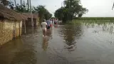 latest news subkuz - भागलपुर में आंगन से लौटी गंगा, खेतों में अब भी पानी; बाढ़ पीड़ितों की मुश्किलें बरकरार, 15-20 दिन बाद घर लौटेंगे परिवार